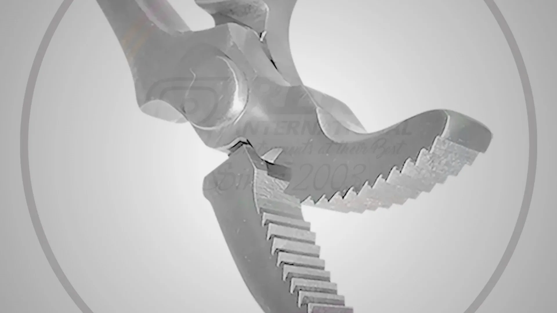 Professional |Farrier Tools| Built for Daily Shop Work